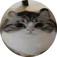 @sillycat profile